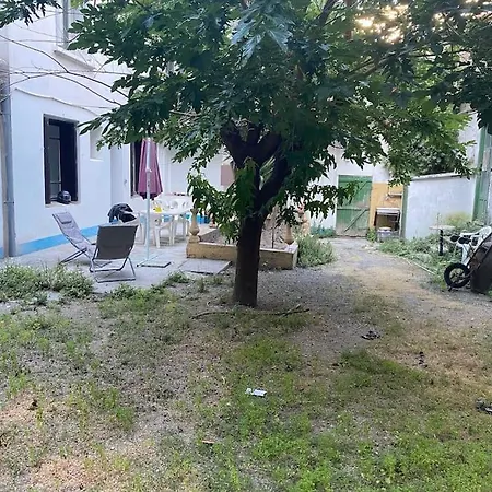 Appt 4 Pers Avec Jardin Ombrage En Centre Ville De Sète Exterior foto
