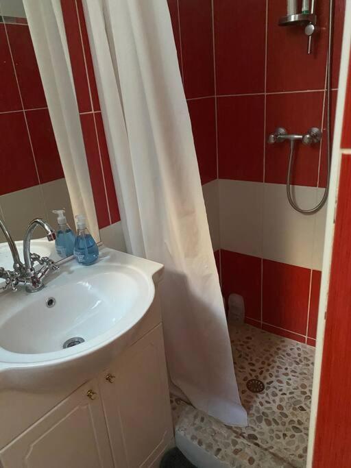 Appt 4 Pers Avec Jardin Ombrage En Centre De